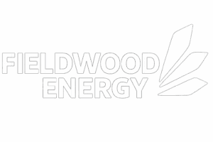 ChatGPT Image 12 may 2025, 11_34_06